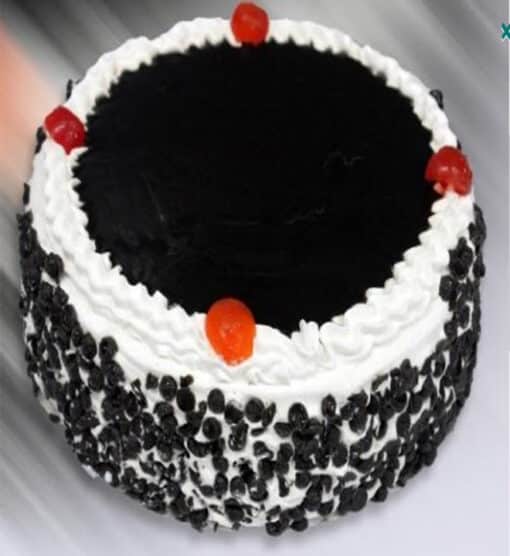 Chocolate Chip Cake
